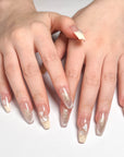 Shining Shell Fragments Press on Nails